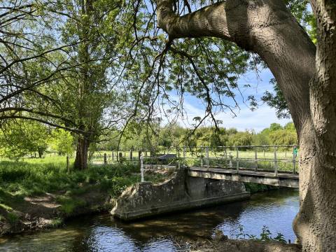 A photograph of the bridge crossing the chalk stream at Whittlesford