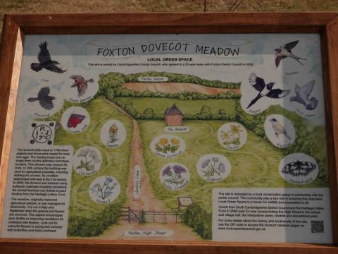 Photograph of an information board for the Foxton Dovecot Meadow, including birds and flowers