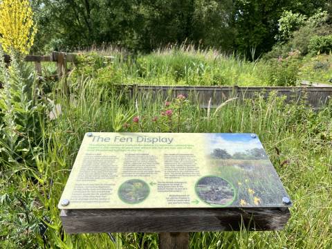 Information Board about Fenland Flowers at the Cambridge Botanic Gardens