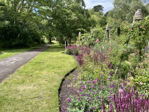 Photograph of a flower bed and path at the Cambridge Botanic Gardens