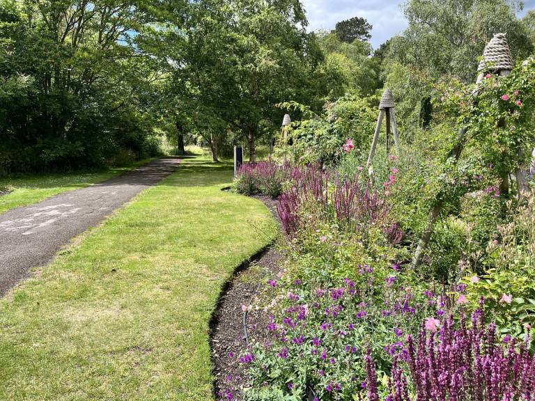 Photograph of a flower bed and path at the Cambridge Botanic Gardens