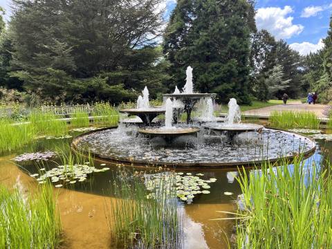 Photograph of the fountain at Cambridge Botanic Gardens