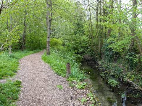 A photograph of a path through Melwood Nature reserve, the river Mel, a chalk stream, is on the right hand side