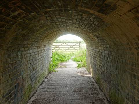 A photograph of the brick bridge tunnel under the railway at Shepreth L-Moor.