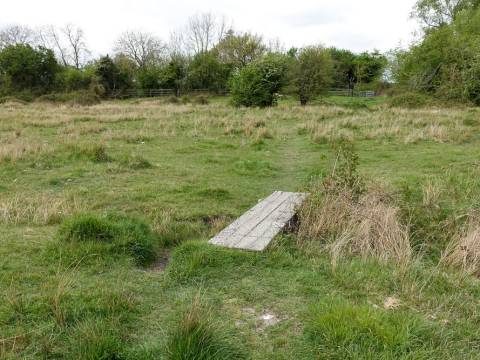 A photograph of Shepreth L-Moor showing a wooden bridge across a ditch
