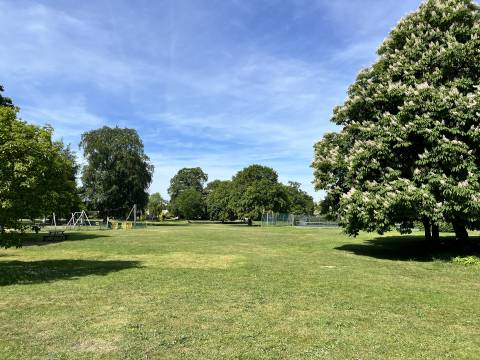 A photograph of The Lawn, a park in Whittlesford. The sky is blue and the trees are in full leaf